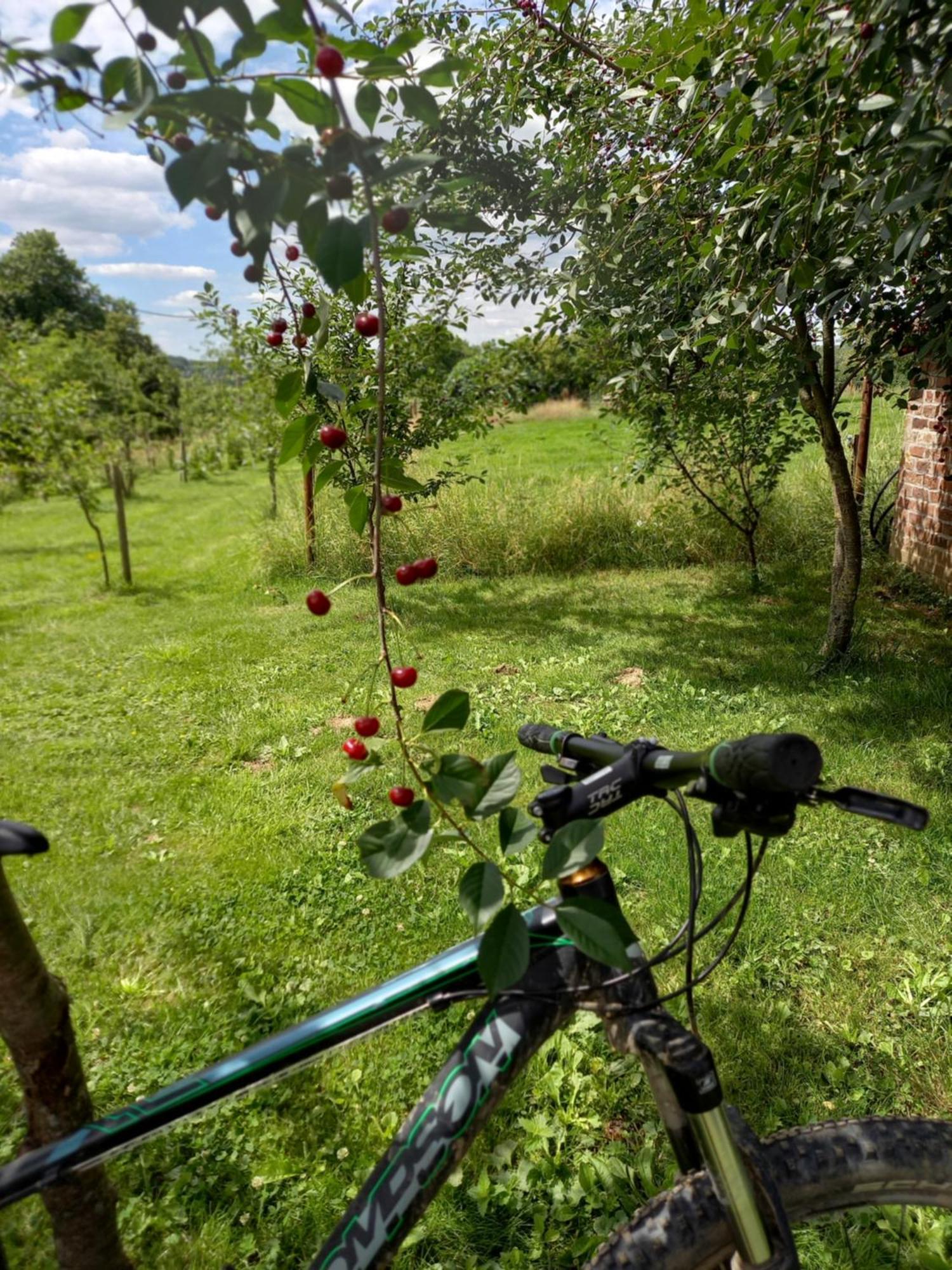 Bed and Breakfast Trionfo Gaasbeek Экстерьер фото